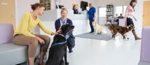 Tourism Listing Partner Vets Adelaide